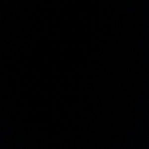 Meet your Posher, Toni