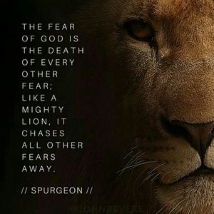 Meet your Posher, Charlotte