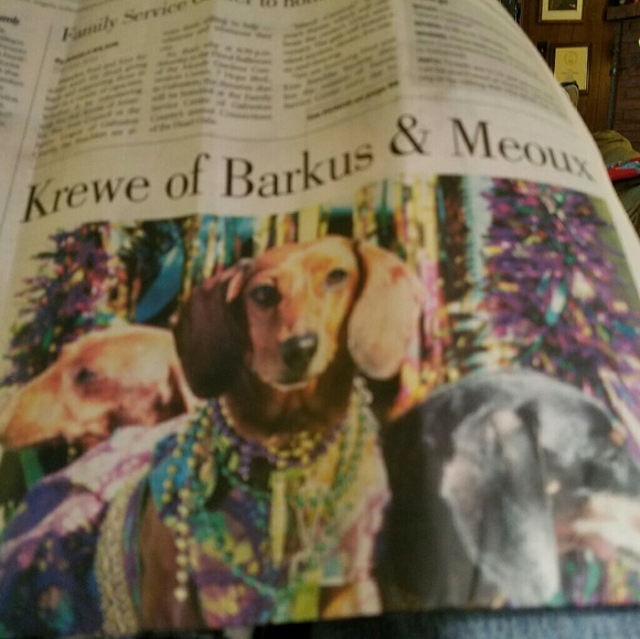 Meet your Posher, Jeannie - Picture 1 of 1