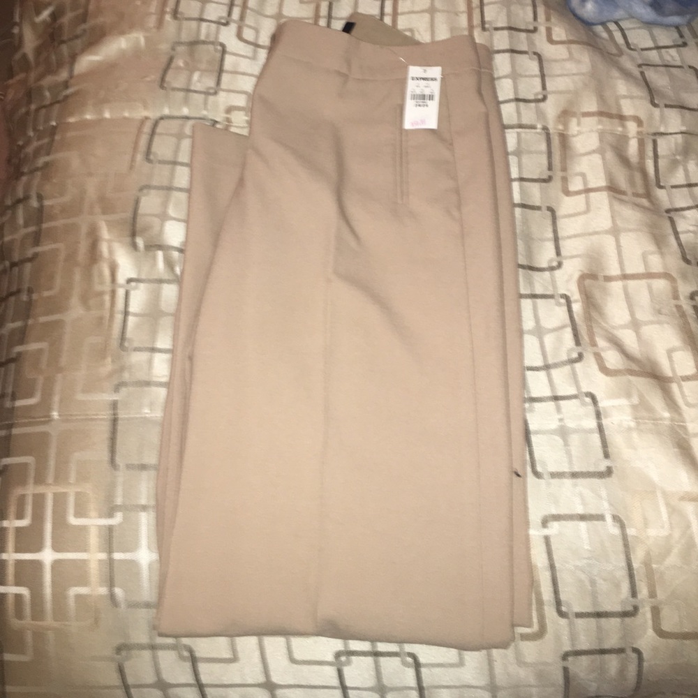 Express dress pants