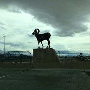 Meet your Posher, Krista