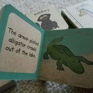 Innovative Kids mini board books