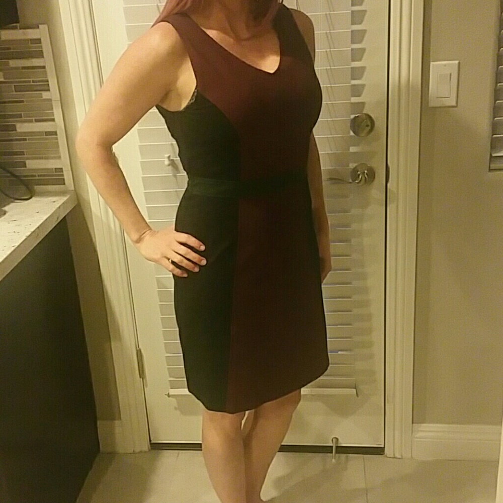 41Hawthorn dress/stitchfix