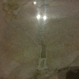 Meet your Posher, Wesley