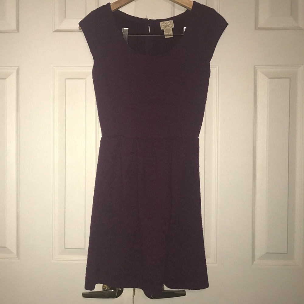 Purple Casual Skater Dress