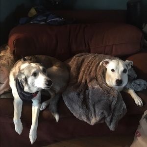 Meet your Posher, Jula