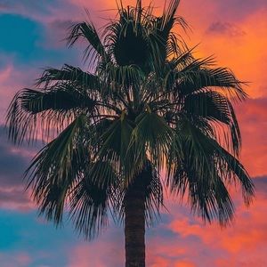 Meet your Posher, Jake