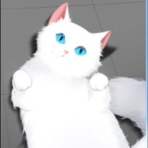 Meet your Posher, Sammie