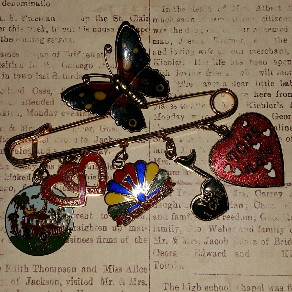 1 butterfly brooch 1 charm pin
