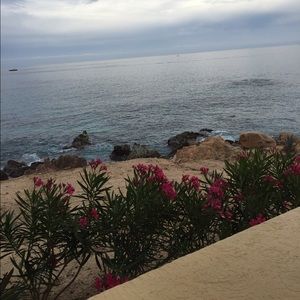 Meet your Posher, Mj