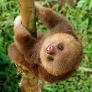 Meet your Posher, Jenna