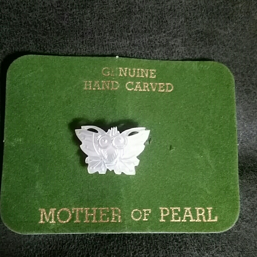 Gifted!!! Vintage!!! Mother of pearl pin