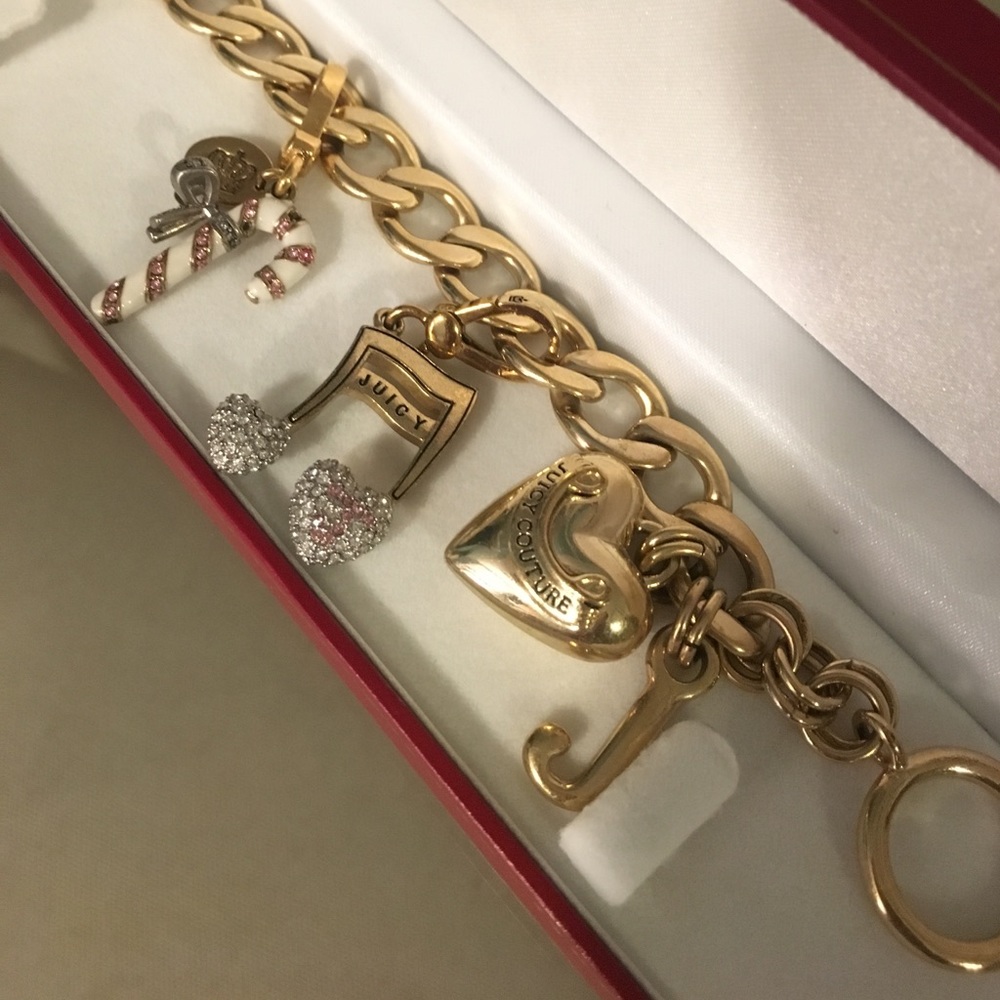 Juicy Couture charms ✨