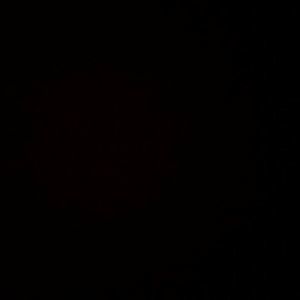 Meet your Posher, Bobbie