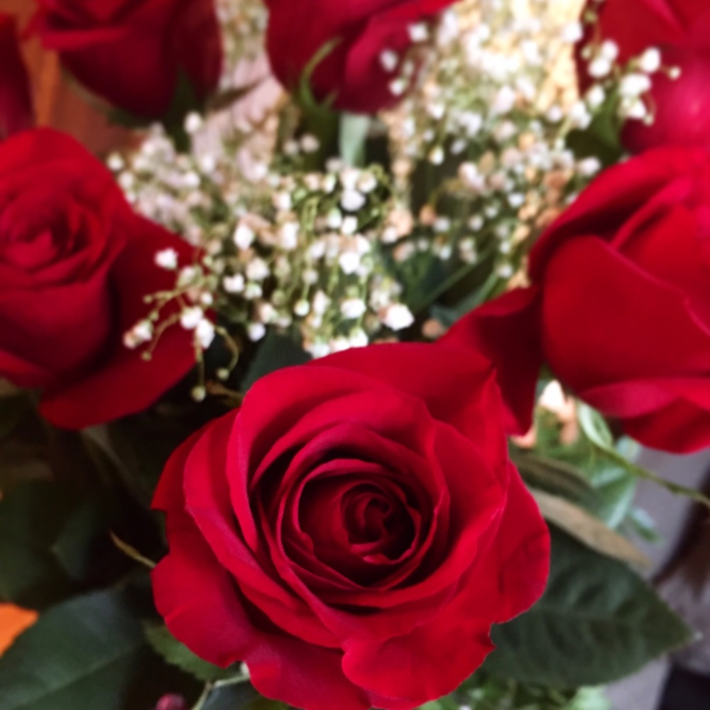 Meet your Posher, Abbey