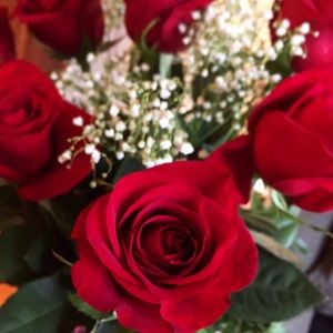 Meet your Posher, Abbey