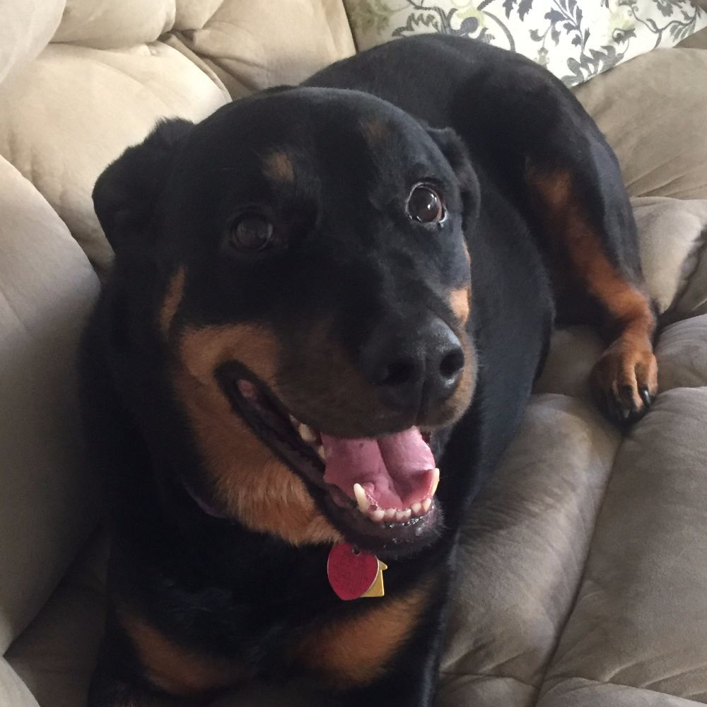 Meet your Posher, Jenne