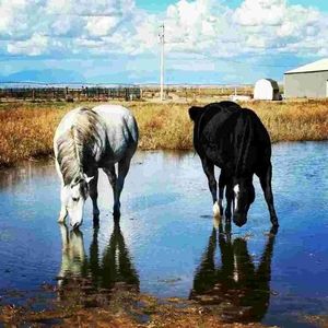 Meet your Posher, Darlene