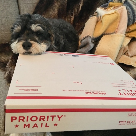 Meet the Posher!!!!! - Picture 6 of 14