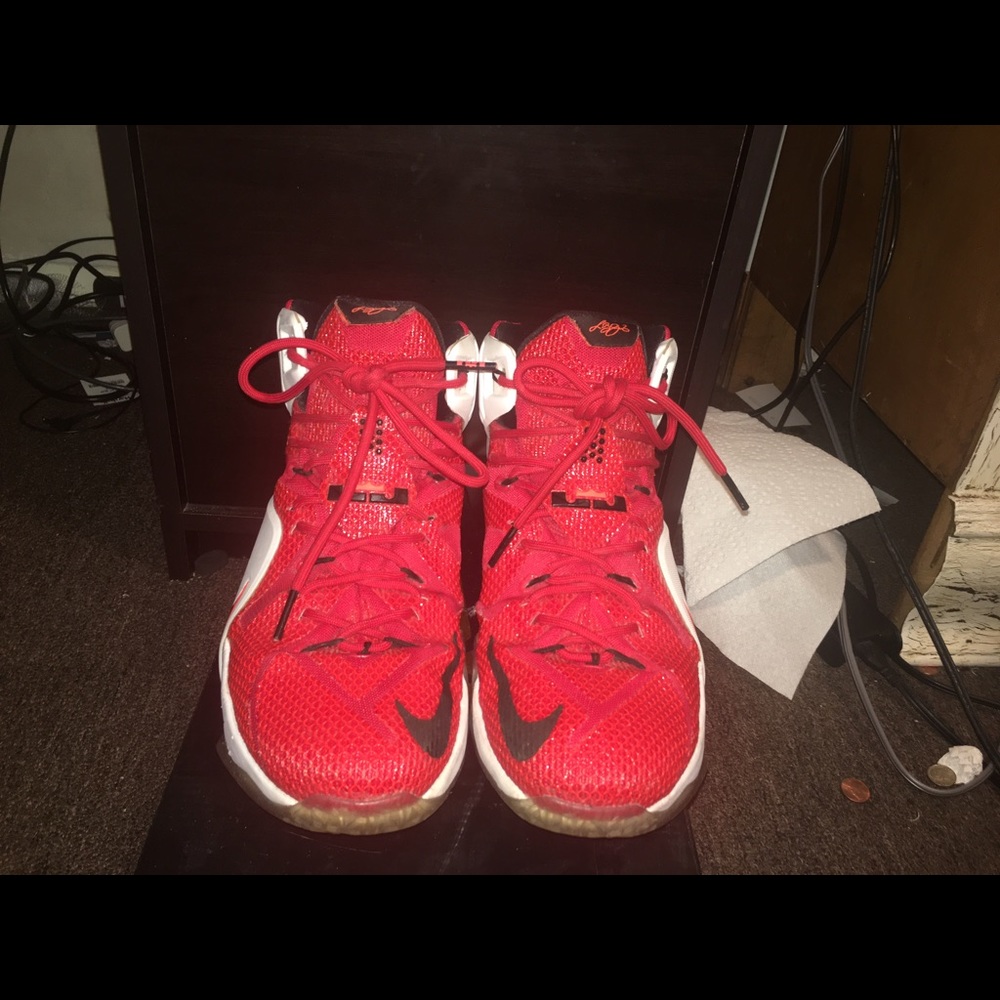 LeBron 12 "Heart of the Lion"