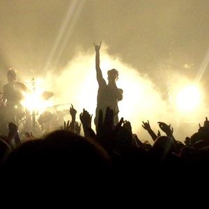 Meet your Posher, Holly