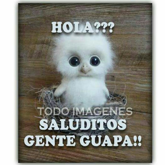 Meet your Posher, Ingrid - Picture 1 of 1