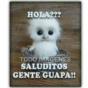 Meet your Posher, Ingrid