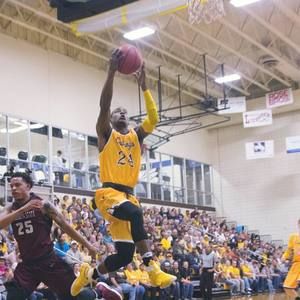 Meet your Posher, Lou