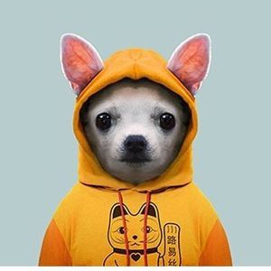 Meet your Posher, Alex