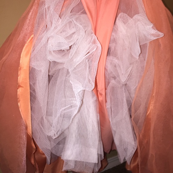 Prom Dress - Picture 6 of 7