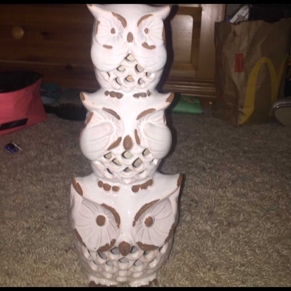 Owl