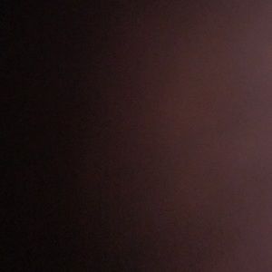 Meet your Posher, Gaige