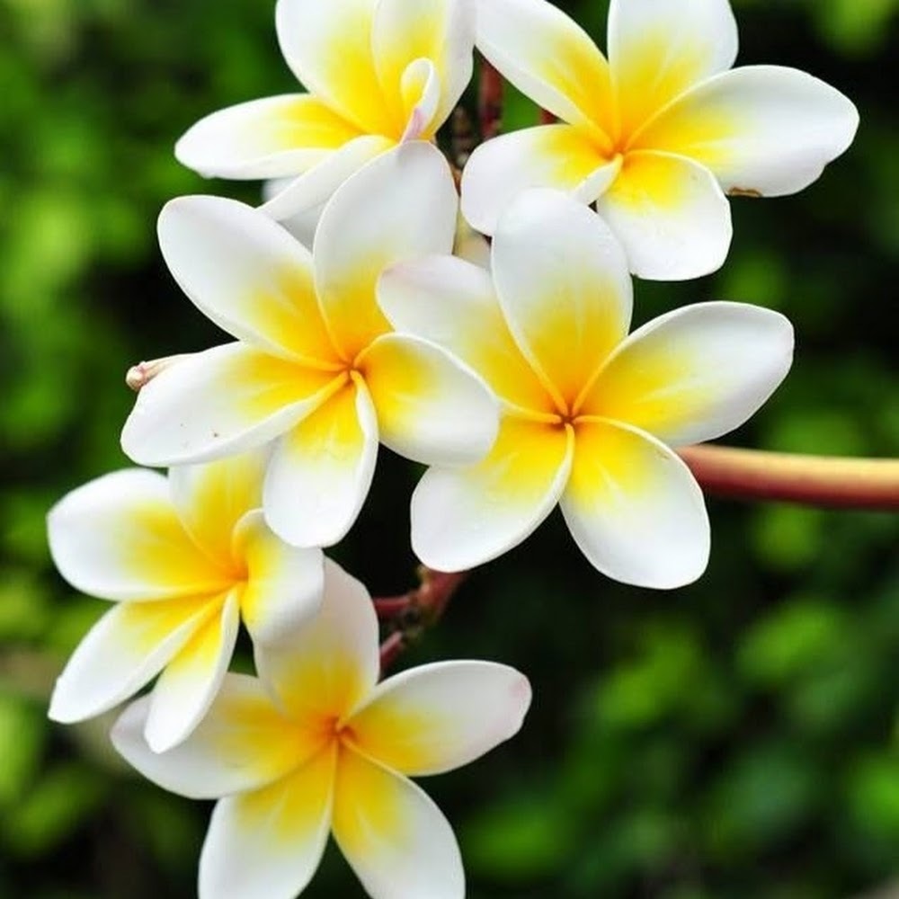 Meet your Posher, Whitney