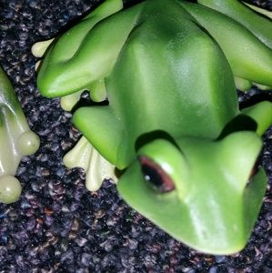 Meet your Posher, Azucena