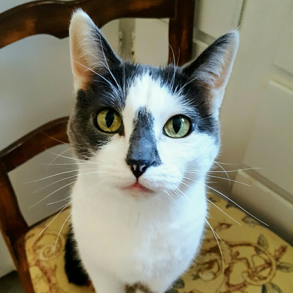 Meet your Posher, Kwynn