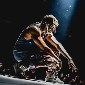 Meet your Posher, Brady