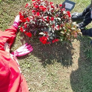 Meet your Posher, Veatokk