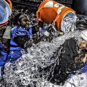 Meet your Posher, Taylor