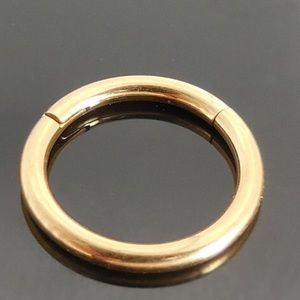 16g Gold Hinged Hoop
