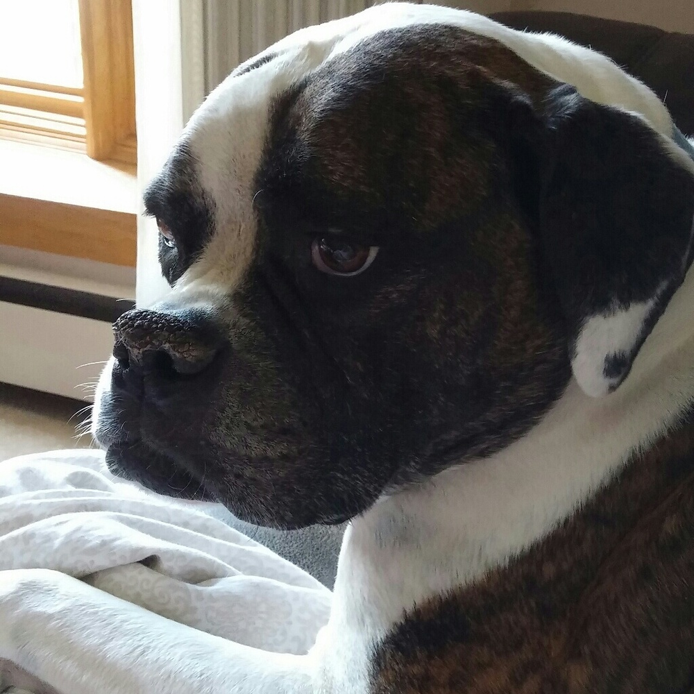 Meet your Posher, Betty