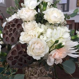 Meet your Posher, Carlyene