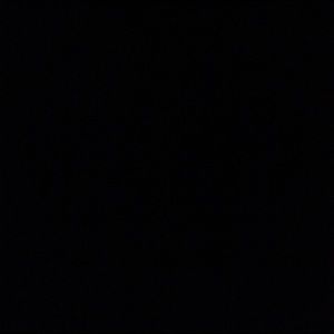 Meet your Posher, Datavyun