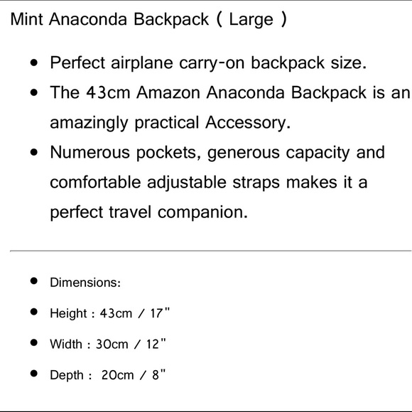 Mint world brand backpack & duffle bag