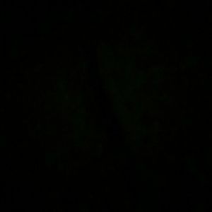 Meet your Posher, Celeste