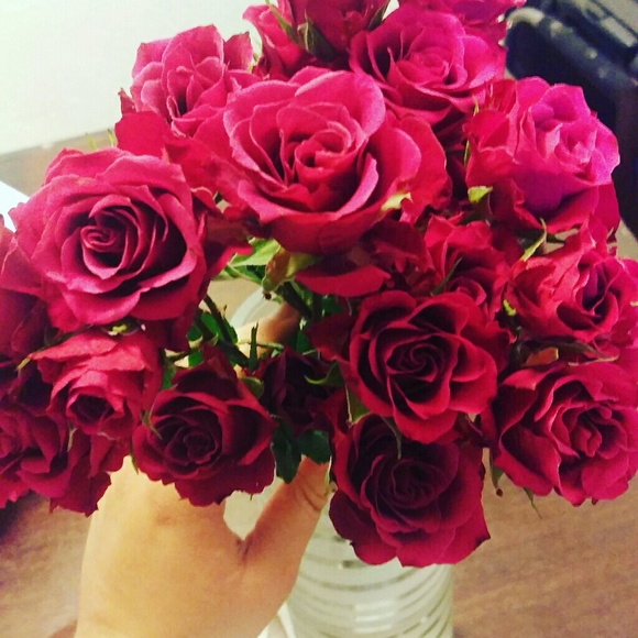 Meet your Posher, Tikki - Picture 1 of 1