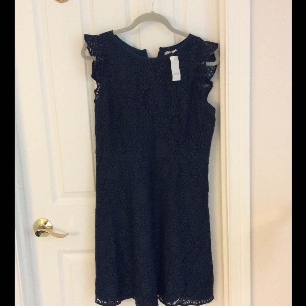 Ann Taylor Loft flutter ๐ sleeve lace dress ๐. - Picture 7 of 8