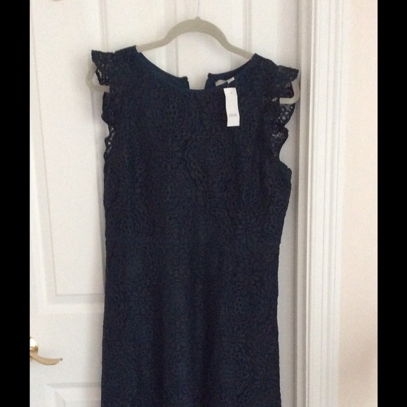 Ann Taylor Loft flutter 💓 sleeve lace dress 👗. - Picture 6 of 8