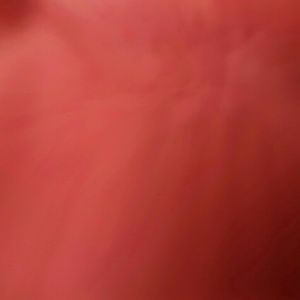 Meet your Posher, Natica