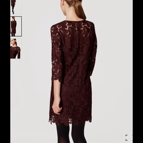 Ann Taylor Loft shift lace dress - Picture 3 of 8