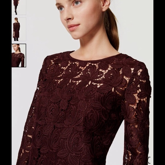 Ann Taylor Loft shift lace dress - Picture 2 of 8